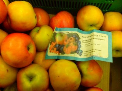 Прикрепленное изображение: IMG_20161119_093603.jpg